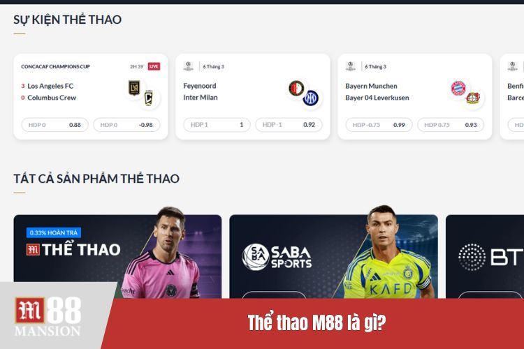 Thể thao M88 là gì?