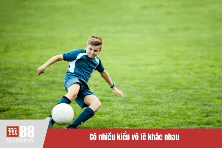 Có nhiều kiểu vô lê khác nhau