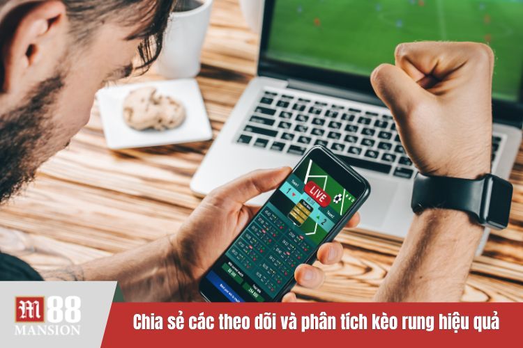 Chia sẻ các theo dõi và phân tích kèo rung hiệu quả