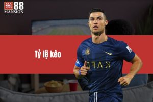 Tỷ Lệ Kèo - Hướng Dẫn Cá Cược Hiệu Quả Tại M88-M Thể Thao